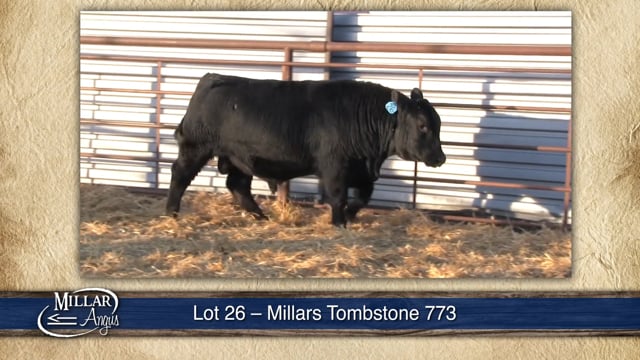 Lot #26 - MILLARS AVIATOR 773