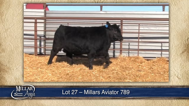 Lot #27 - MILLARS AVIATOR 789