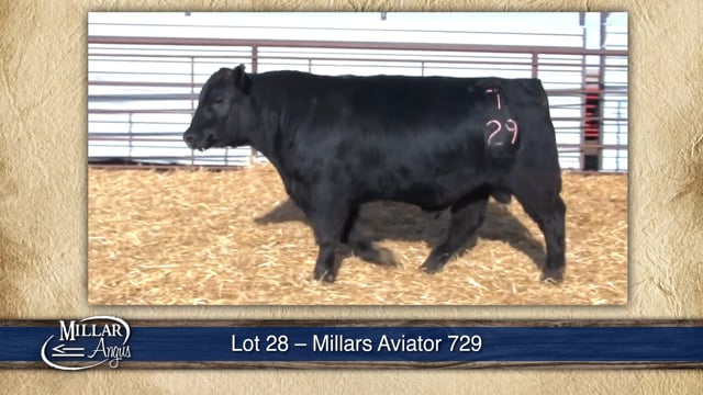 Lot #28 - MILLARS AVIATOR 729