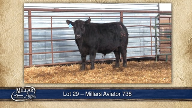 Lot #29 - MILLARS AVIATOR 738