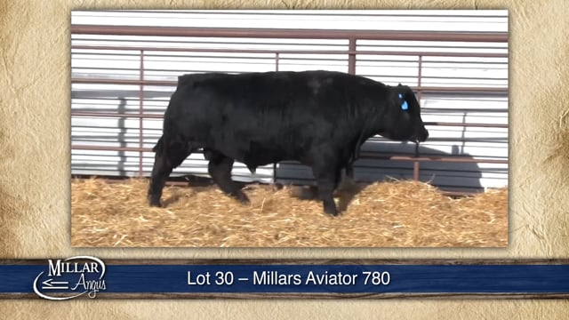 Lot #30 - MILLARS AVIATOR 780