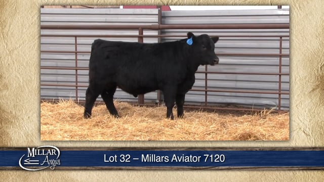 Lot #32 - MILLARS AVIATOR 7120