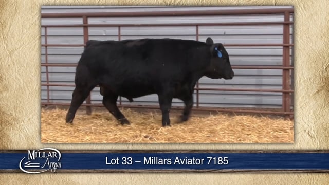 Lot #33 - MILLARS AVIATOR 7185