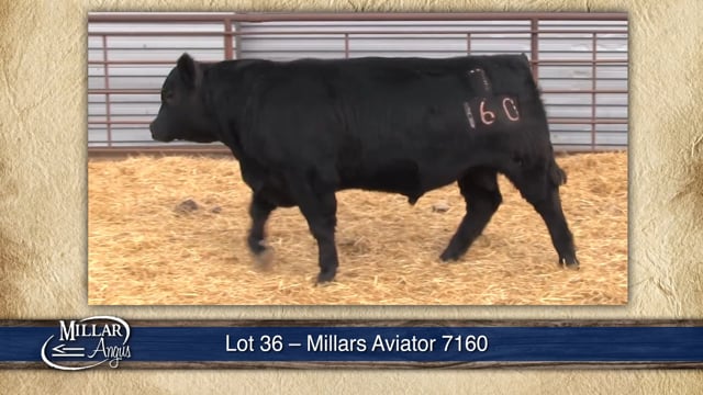Lot #36 - MILLARS AVIATOR 7160