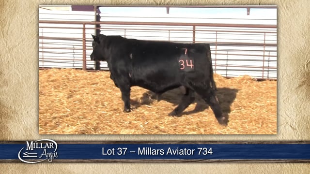 Lot #37 - MILLARS AVIATOR 734