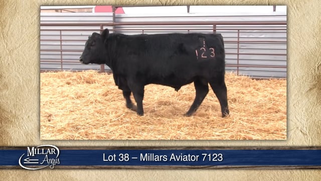 Lot #38 - MILLARS AVIATOR 7123