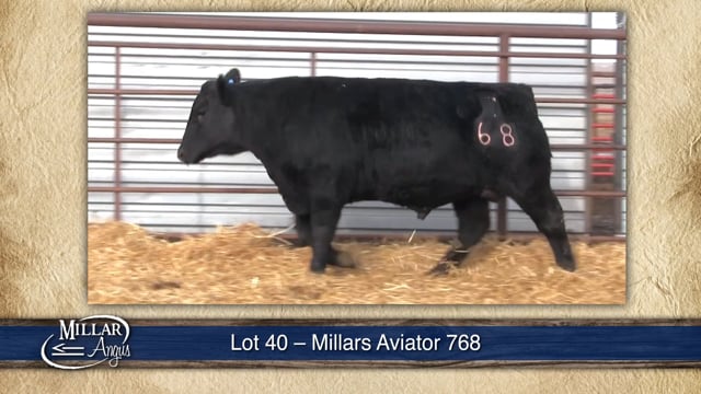 Lot #40 - MILLARS AVIATOR 768