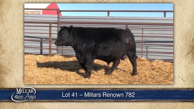 Lot #41 - MILLARS RENOWN 782
