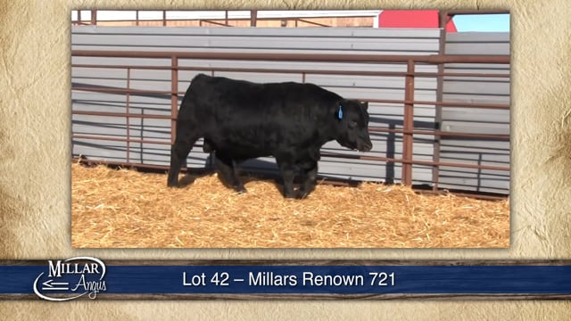 Lot #42 - MILLARS RENOWN 721