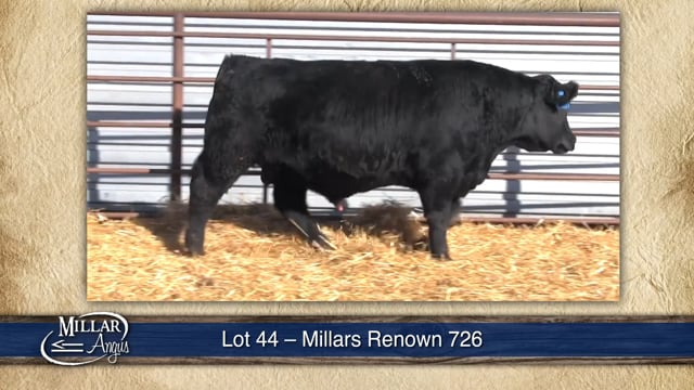 Lot #44 - MILLARS RENOWN 726