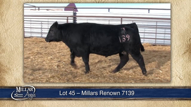Lot #45 - MILLARS RENOWN 7139