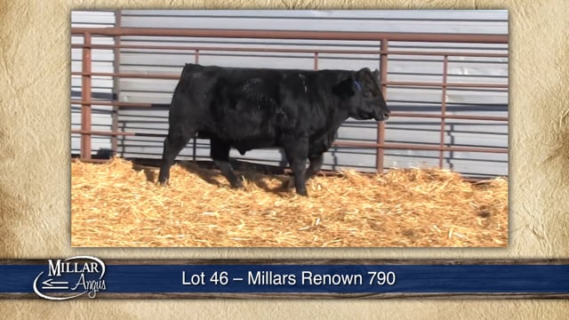 Lot #46 - MILLARS RENOWN 790