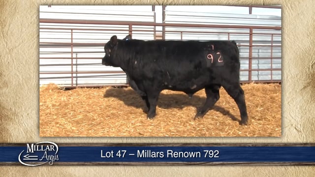 Lot #47 - MILLARS RENOWN 792