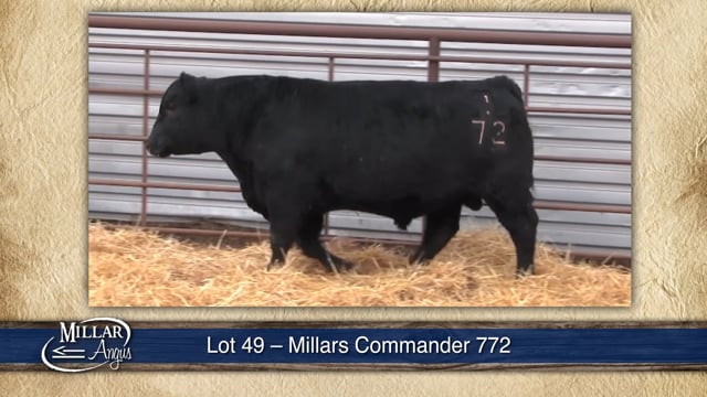 Lot #49 - MILLARS COMMANDER 772