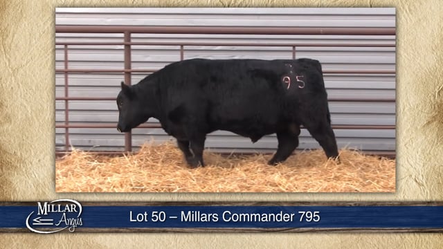 Lot #50 - MILLARS COMMANDER 795