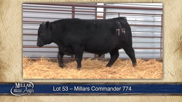 Lot #53 - MILLARS COMMANDER 774