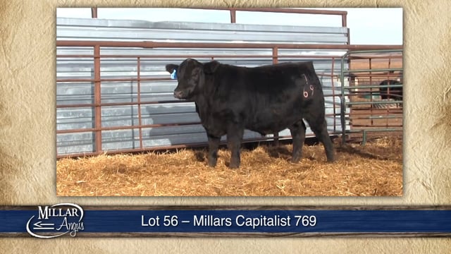 Lot #56 - MILLARS CAPITALIST 769