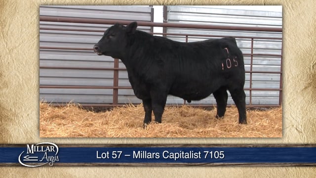 Lot #57 - MILLARS CAPITALIST 7105