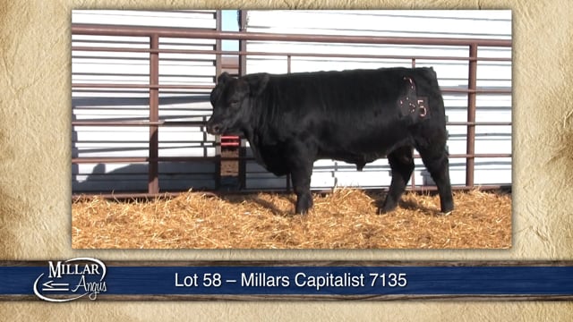 Lot #58 - OUT MILLARS CAPITALIST 7135