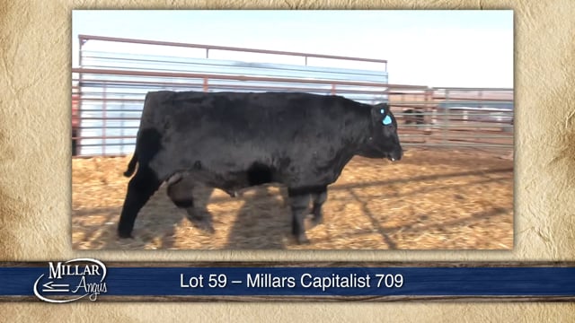 Lot #59 - MILLARS CAPITALIST 709