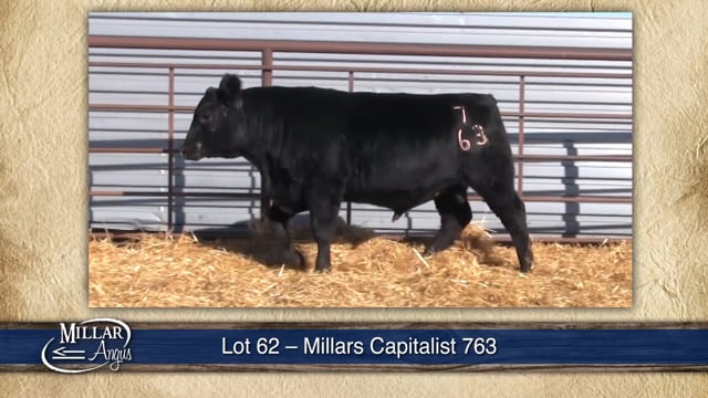 Lot #62 - MILLARS CAPITALIST 763