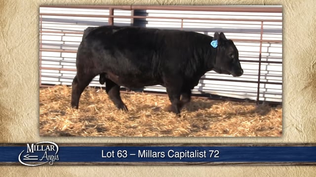 Lot #63 - MILLARS CAPITALIST 72