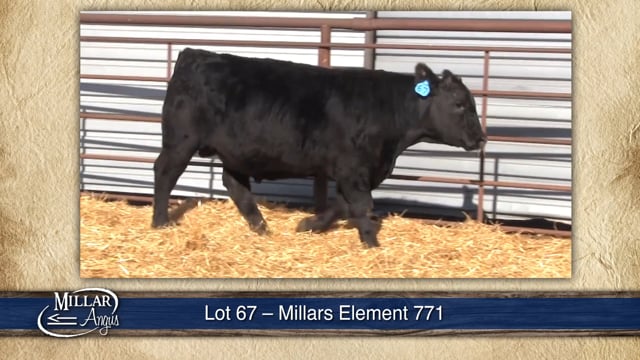 Lot #67 - MILLARS ELEMENT 771