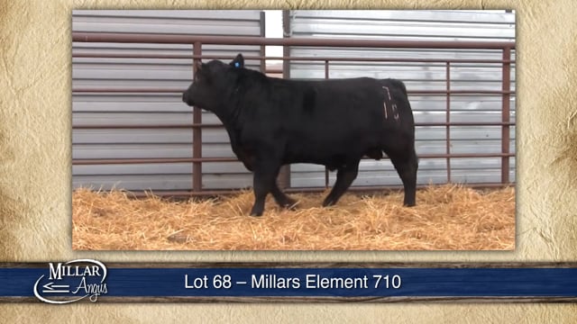 Lot #68 - MILLARS ELEMENT 710
