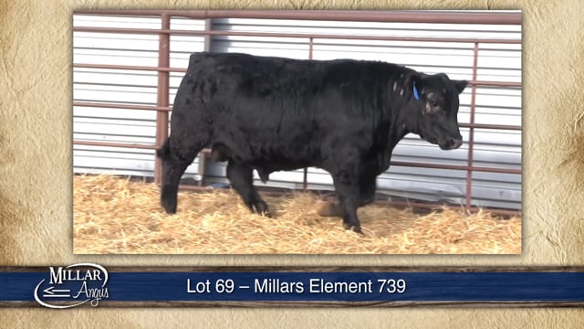 Lot #69 - MILLARS ELEMENT 739