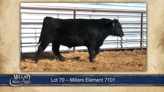 Lot #70 - MILLARS ELEMENT 7101