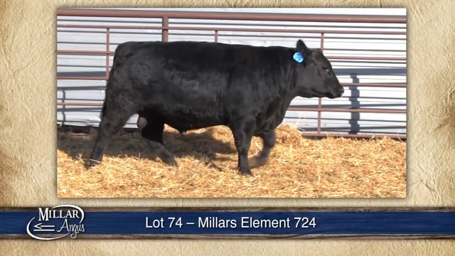 Lot #74 - MILLARS ELEMENT 724
