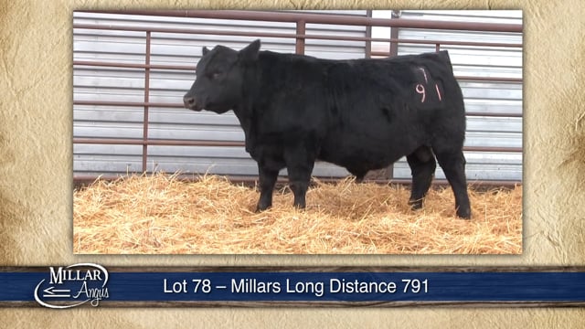 Lot #78 - MILLARS LONG DISTANCE 791