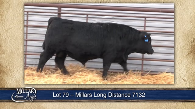 Lot #79 - MILLARS LONG DISTANCE 7132