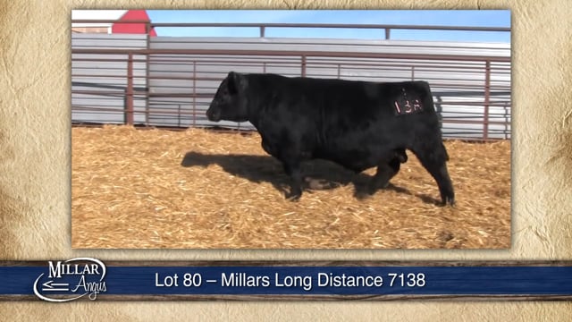 Lot #80 - MILLARS LONG DISTANCE 7138