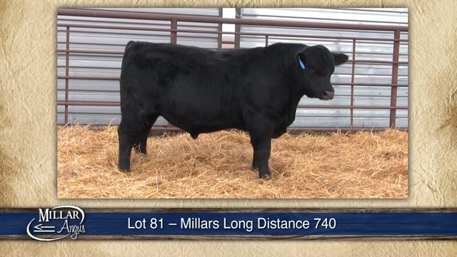 Lot #81 - MILLARS LONG DISTANCE 740