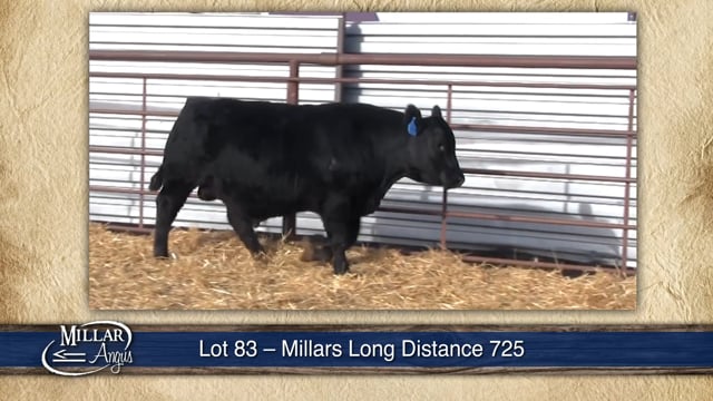 Lot #83 - MILLARS LONG DISTANCE 725
