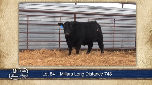 Lot #85 - MILLARS UNANIMOUS 7209