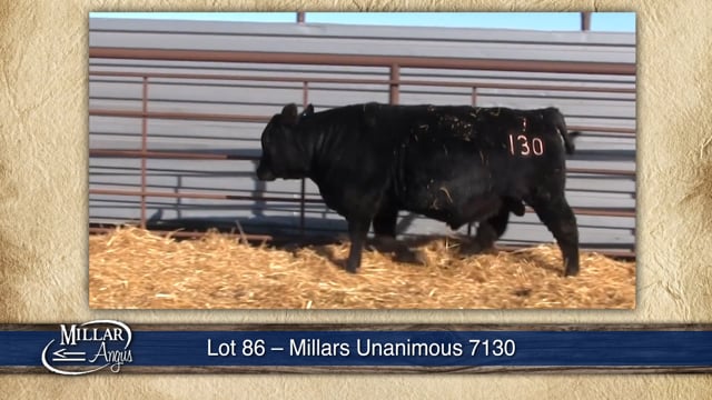 Lot #86 - MILLARS UNANIMOUS 7130