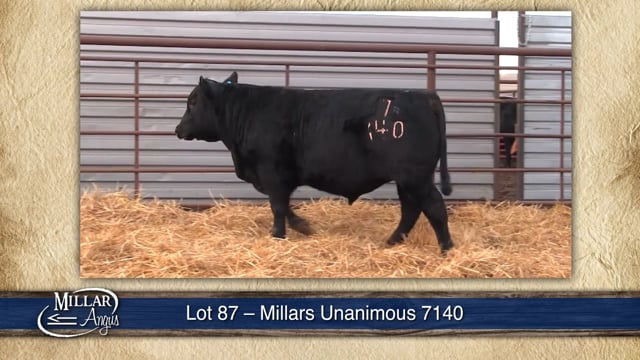 Lot #87 - MILLARS UNANIMOUS 7140