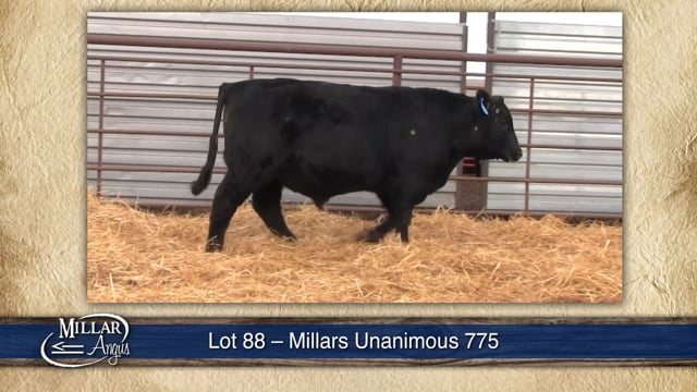 Lot #88 - MILLARS UNANIMOUS 775