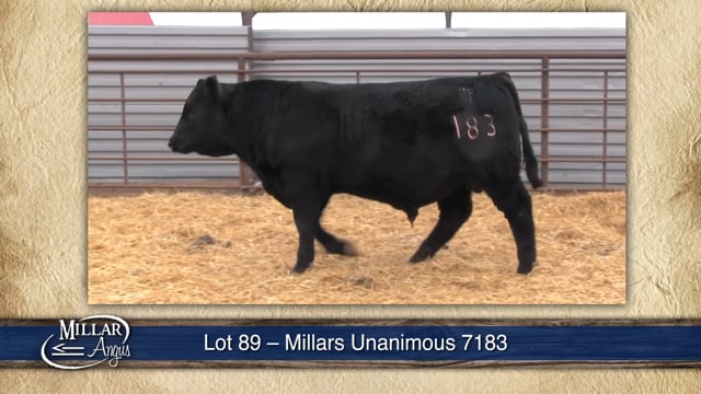 Lot #89 - MILLARS UNANIMOUS 7183