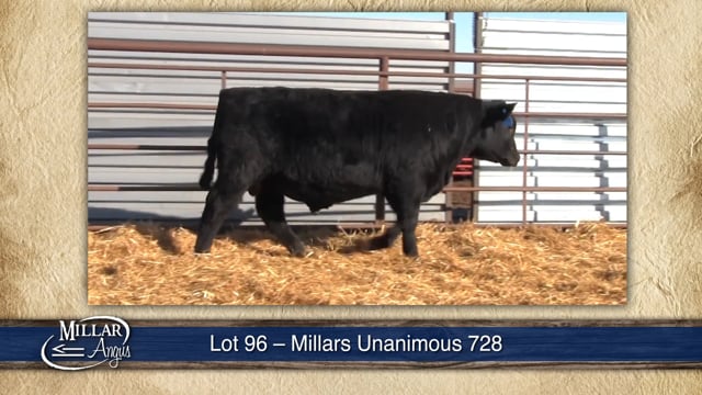 Lot #96 - MILLARS UNANIMOUS 728