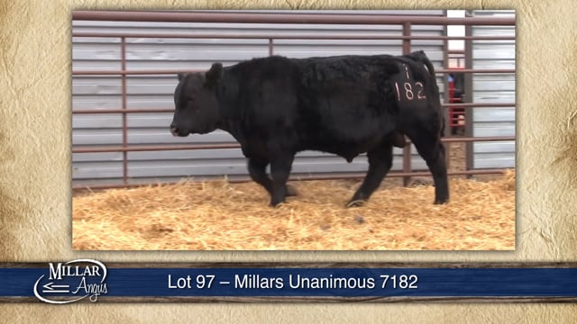 Lot #97 - MILLARS UNANIMOUS 7182