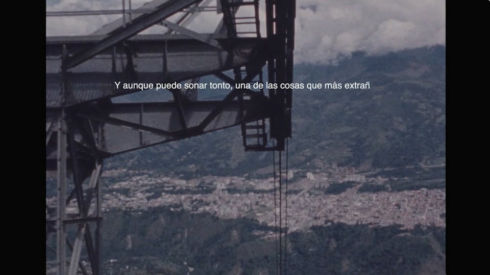 Soy un ser cuyas raíces // I am a being whose roots
