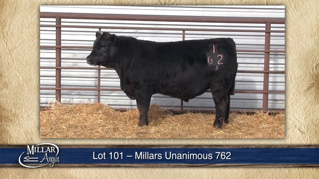 Lot #101 - MILLARS UNANIMOUS 762
