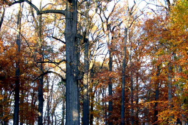 Fall Trip on Vimeo