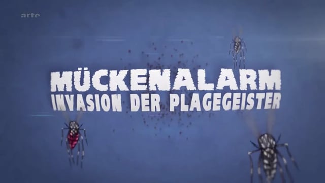 Related Embedded Video Item Thumbnail