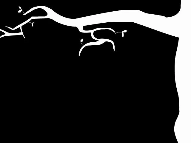 Abstract Animation on Vimeo