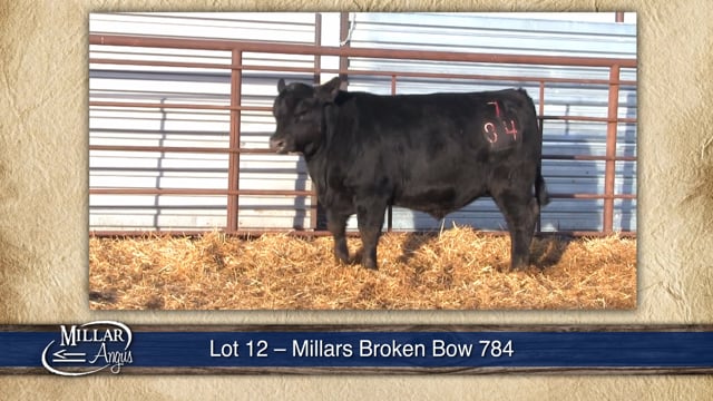 Lot #12 - MILLARS BROKEN BOW 784