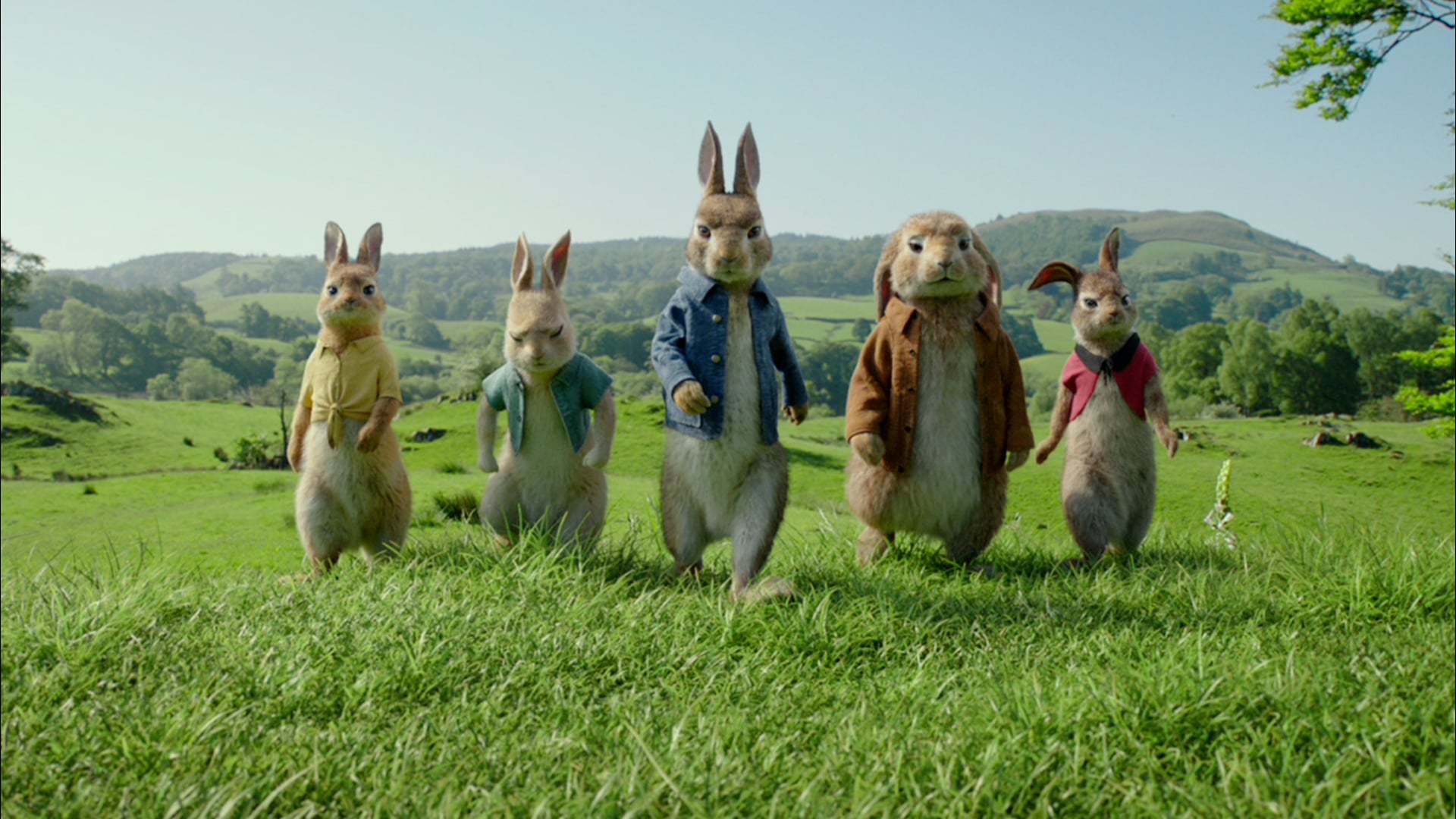 Peter Rabbit - TV30 'Showdown'